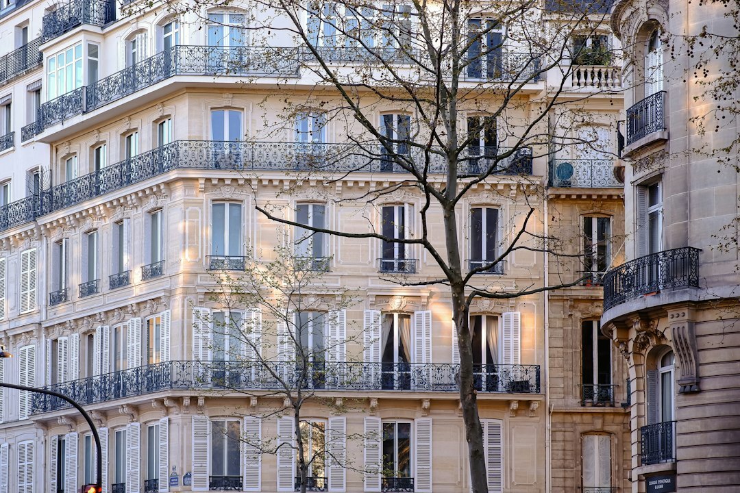 parisian luxury apartment